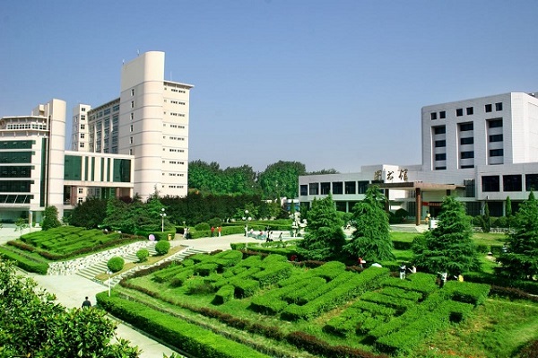 Trường SDH Institute